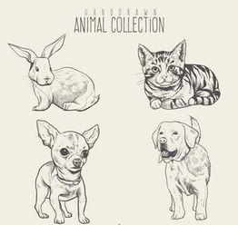 王草图资料,揭秘古代绘画大师的技艺与人生