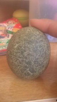 化石蛋图片,化石蛋的神秘世界