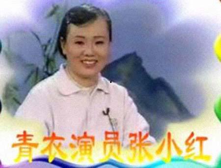 张晓红演员,光影交织下的演艺人生